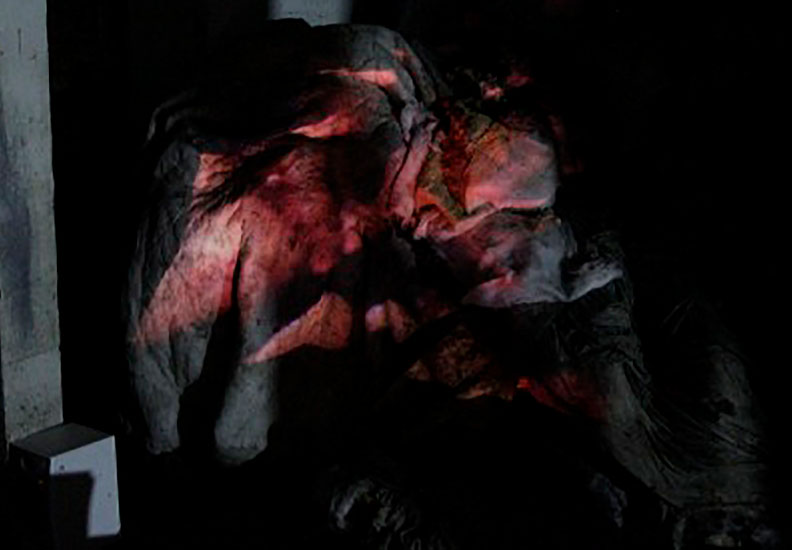 a still image the film Holobiont